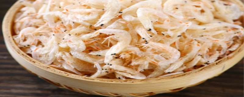虾米吃什么食物