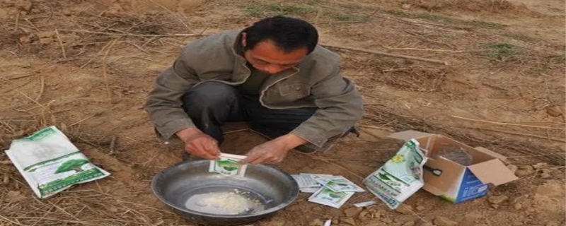 生根粉灌根的正确方法